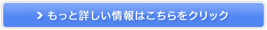 񎟉sT[rX2{ܔ̔TCg